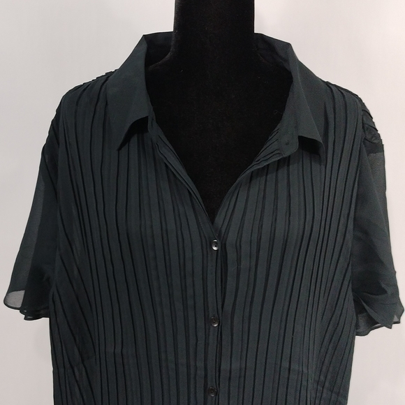 Only Necessities Sheer Pleated Button Top - Picture 4 of 9